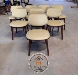 GHẾ VENUS CÓ NỆM