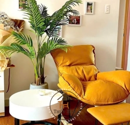 Ghế Bập bênh tôm tặng kèm đôn gác chân 