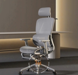 Ghế công thái học CTH919