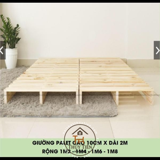 Giường pallet gỗ thông
