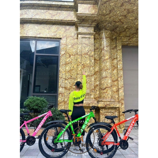 Xe đạp thể thao hàng nhập người lớn