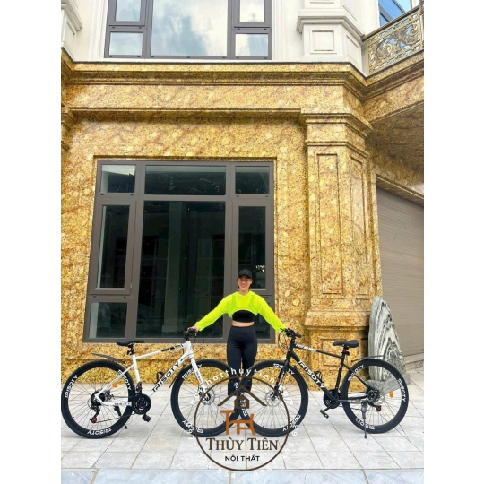 Xe đạp thể thao hàng nhập người lớn