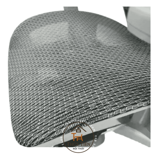 Ghế công thái học CTH919