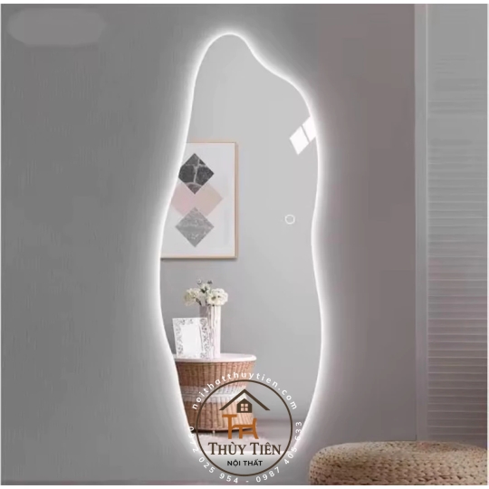 Gương Toàn Thân Hình Hạt Đậu, Gương Cá Heo