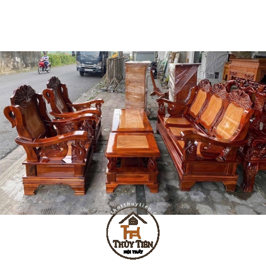 Salon thùng thiên nga