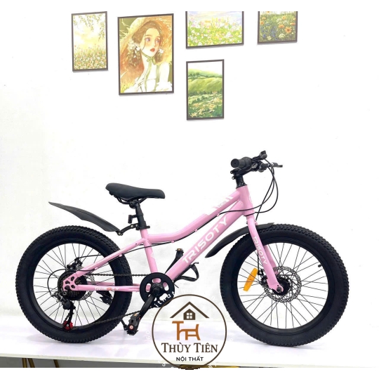 Xe đạp trẻ em hàng nhập