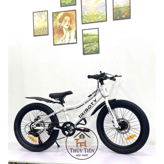 Xe đạp trẻ em hàng nhập